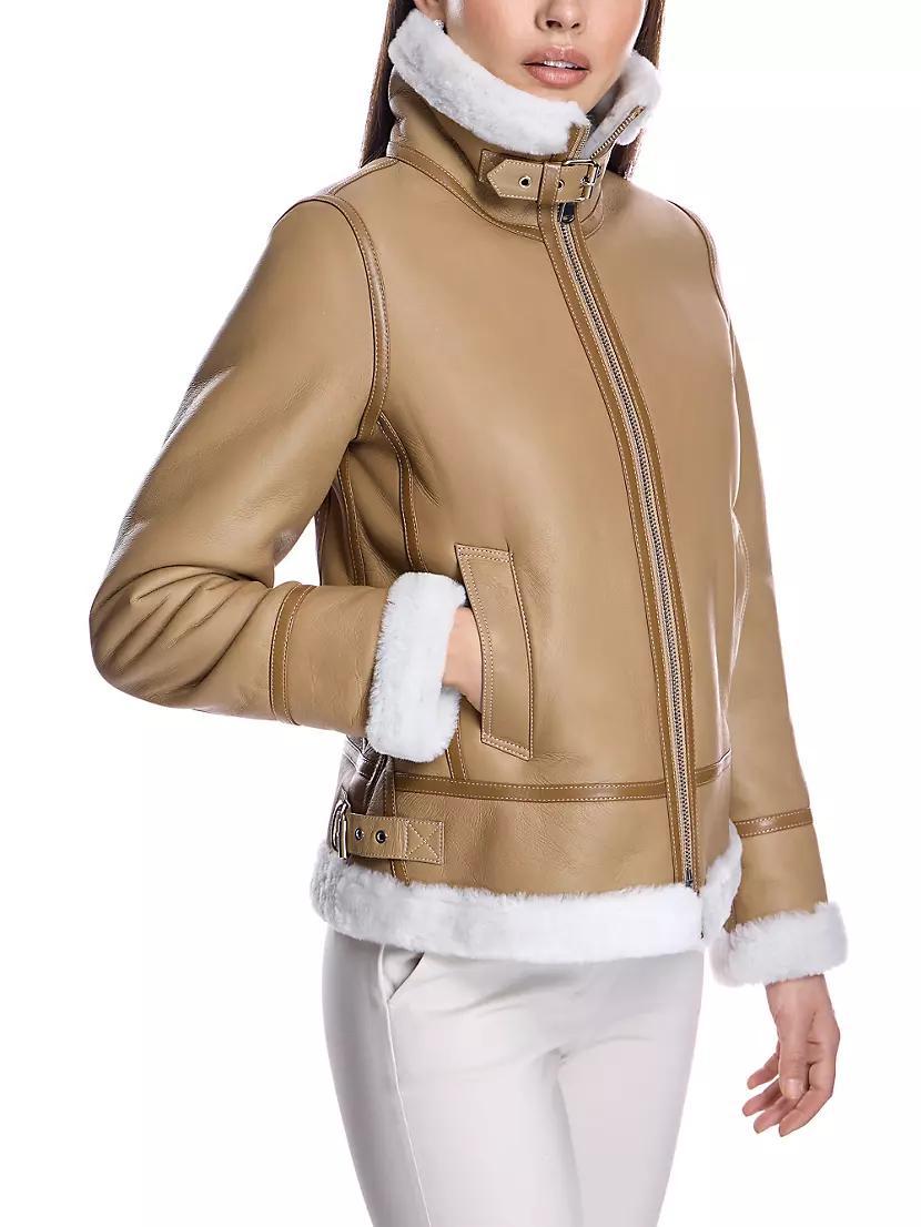 Leather & Shearling Flight Jacket Product Image