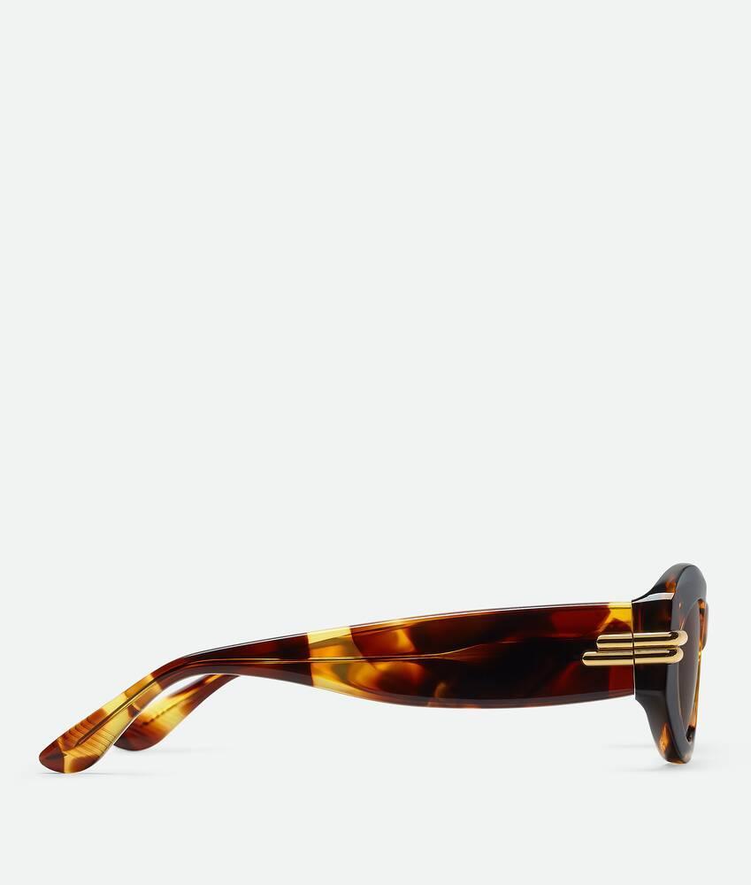 Mitre Oval Sunglasses in Havana/brown Product Image