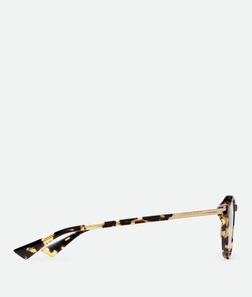 Men's Forte Recycled Acetate Panthos Eyeglasses in Havana/transparent Product Image