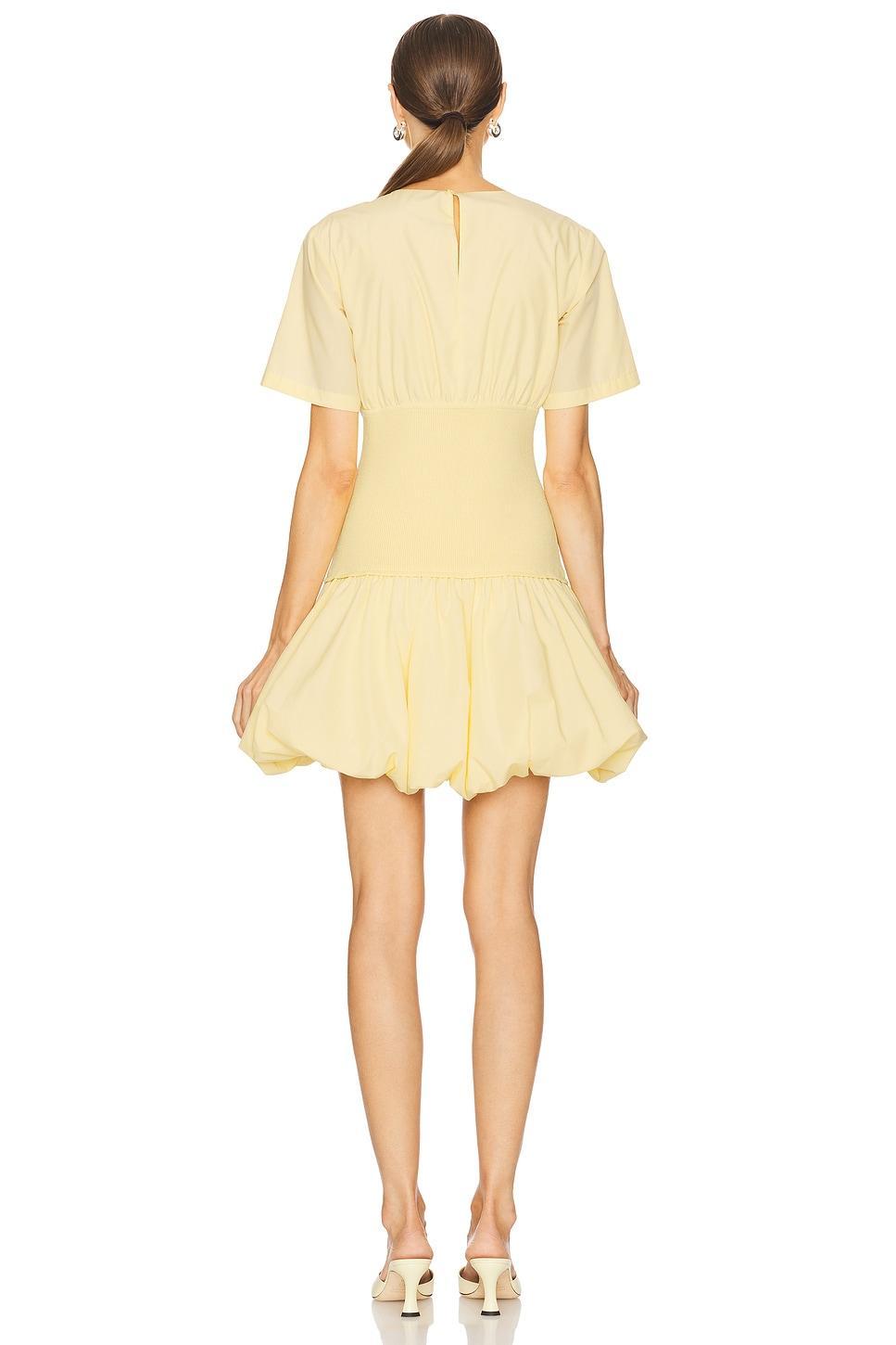 Libbie Short Sleeve Mini Dress SIMKHAI Product Image