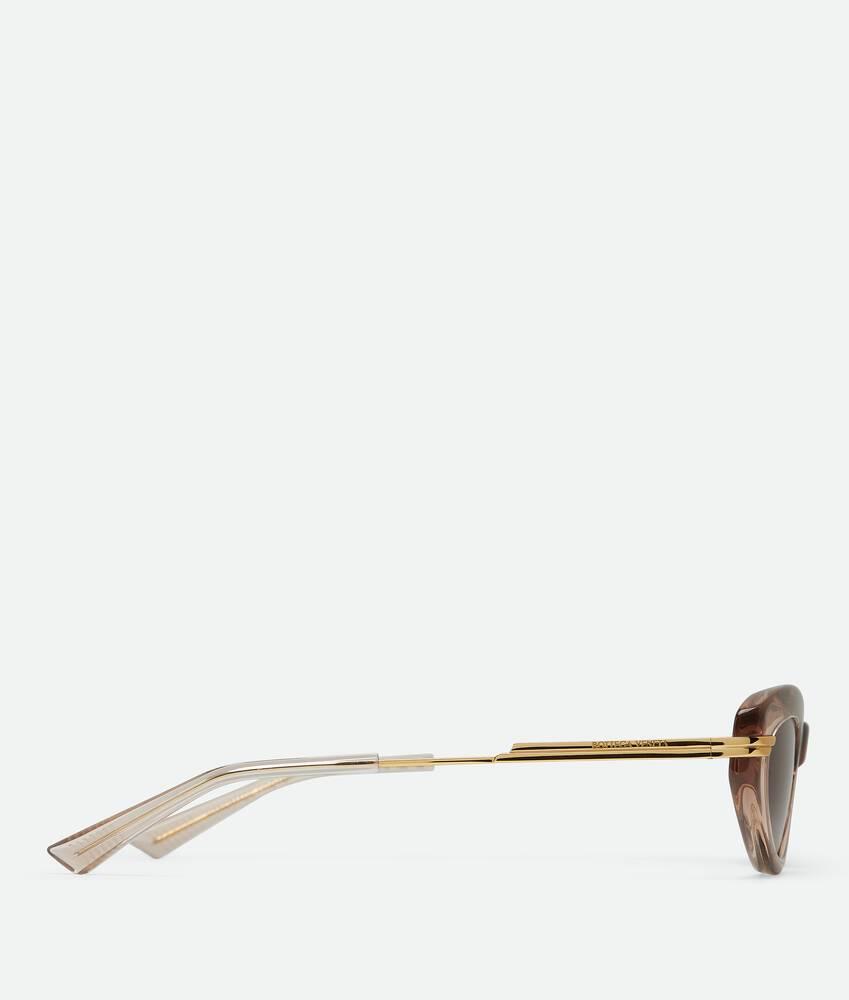 Women's Classic Cat Eye Sunglasses in Brown Product Image