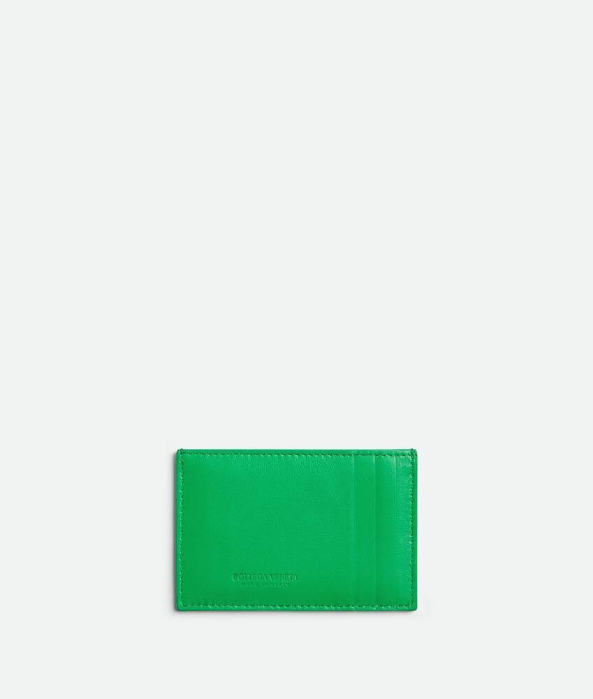 Women's Cassette Credit Card Case in Parakeet Product Image