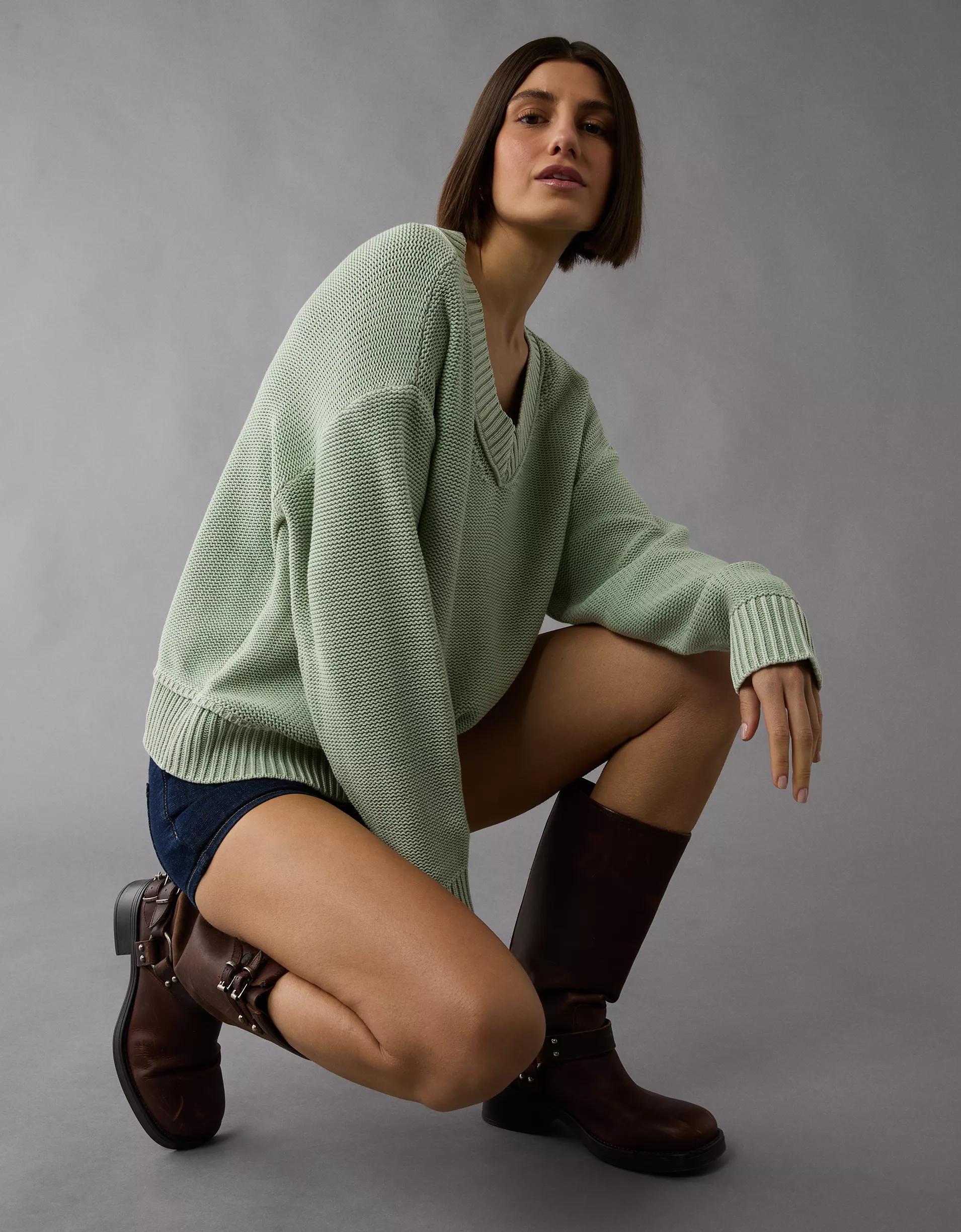 AE Long Weekend V-Neck Sweater Product Image