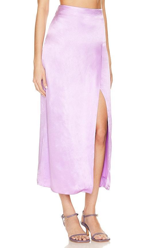 Adelyn Skirt Line & Dot Product Image