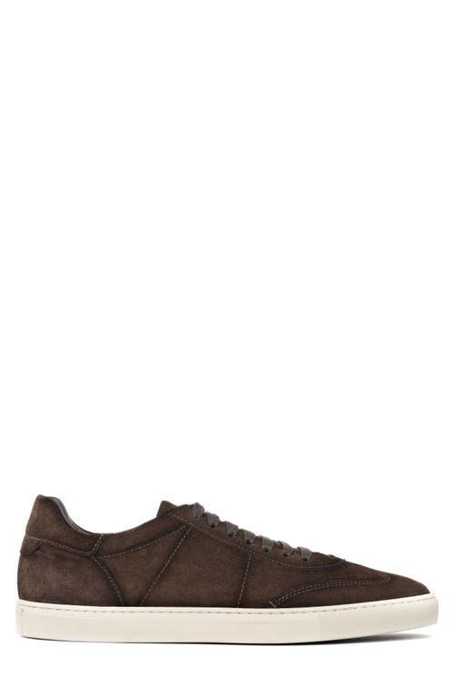 TO BOOT NEW YORK Men's Wilton Lace Up Suede Sneakers In Dark Brown Product Image