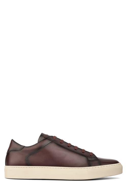 TO BOOT NEW YORK Pescara Sneaker In Bordo Product Image