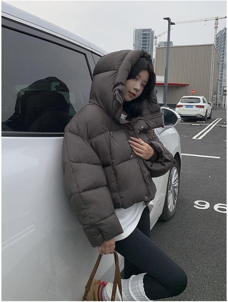 Plain Hooded Zip-Up Crop Puffer Jacket Product Image