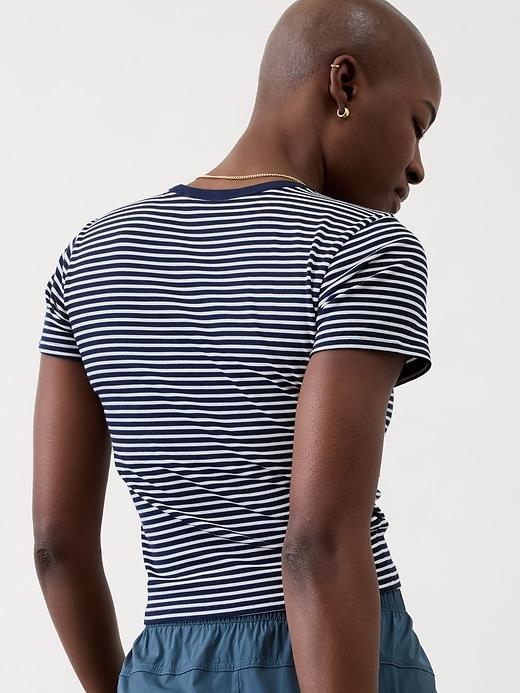 Signature Rib Crop Tee Product Image