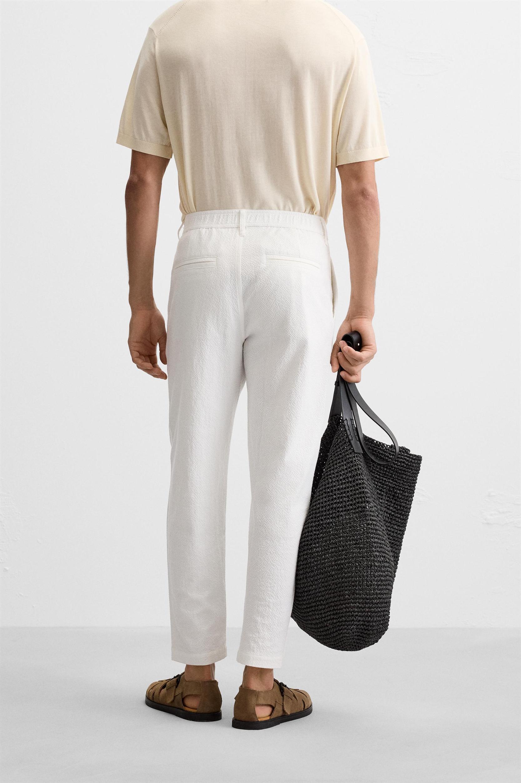 TEXTURED PLEATED PANTS Product Image