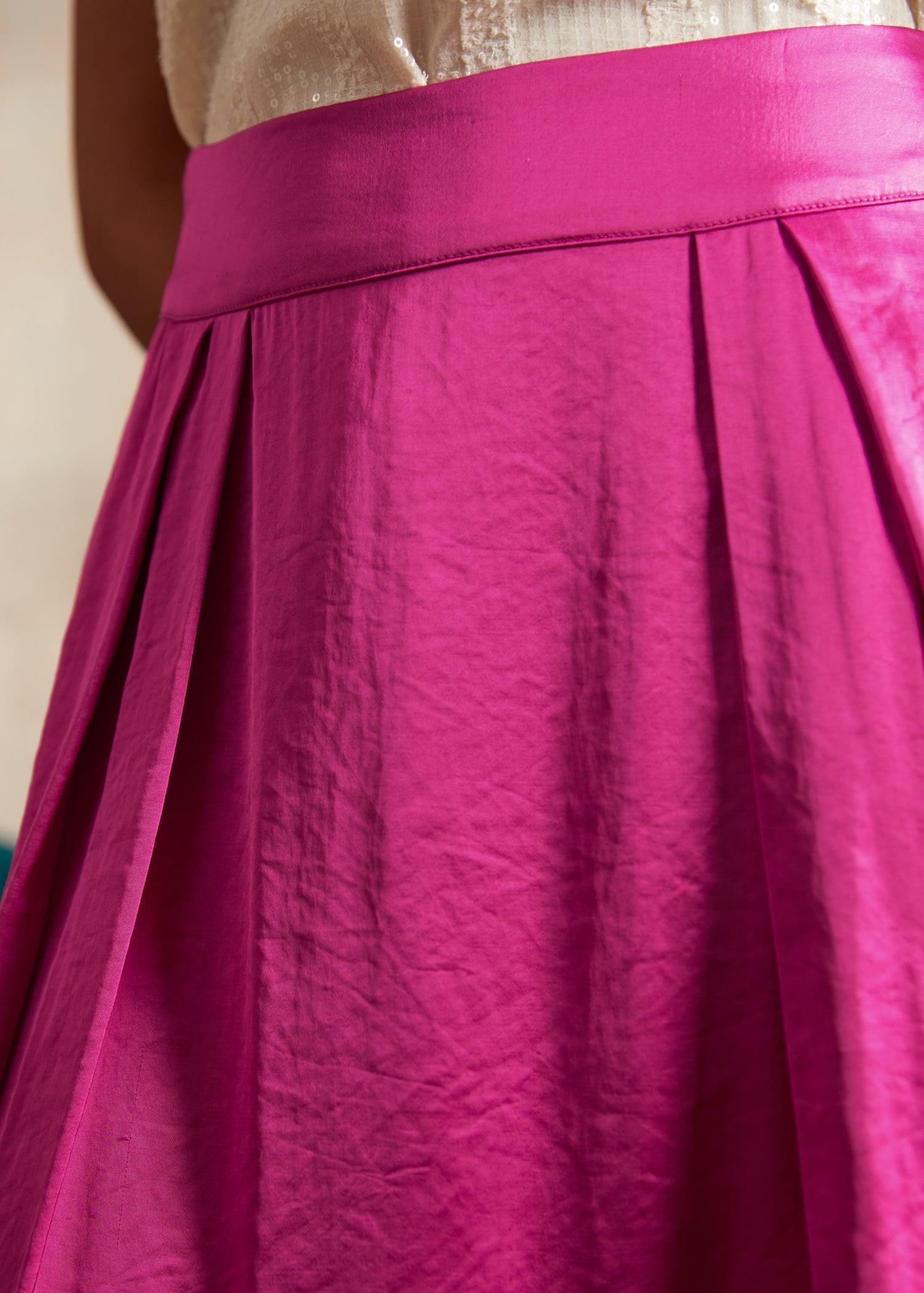 Everyday Enchantment Pleated Skirt Product Image