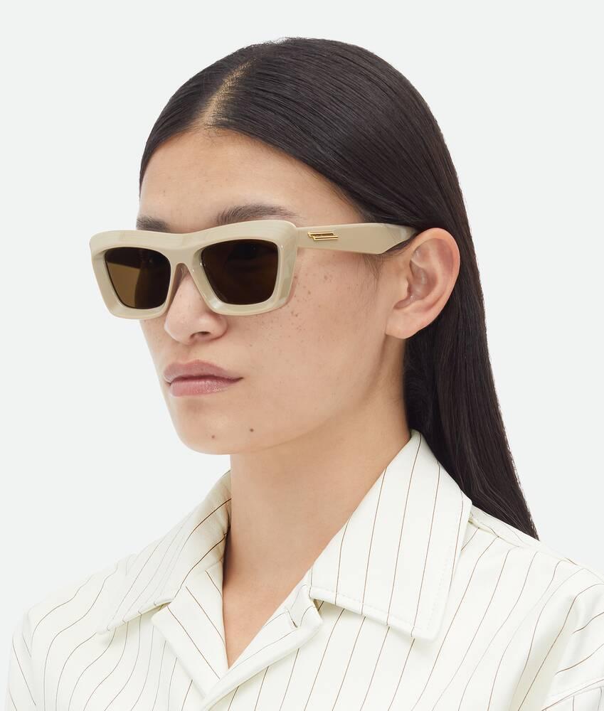 Women's Classic Cat Eye Sunglasses in Brown/brown Product Image