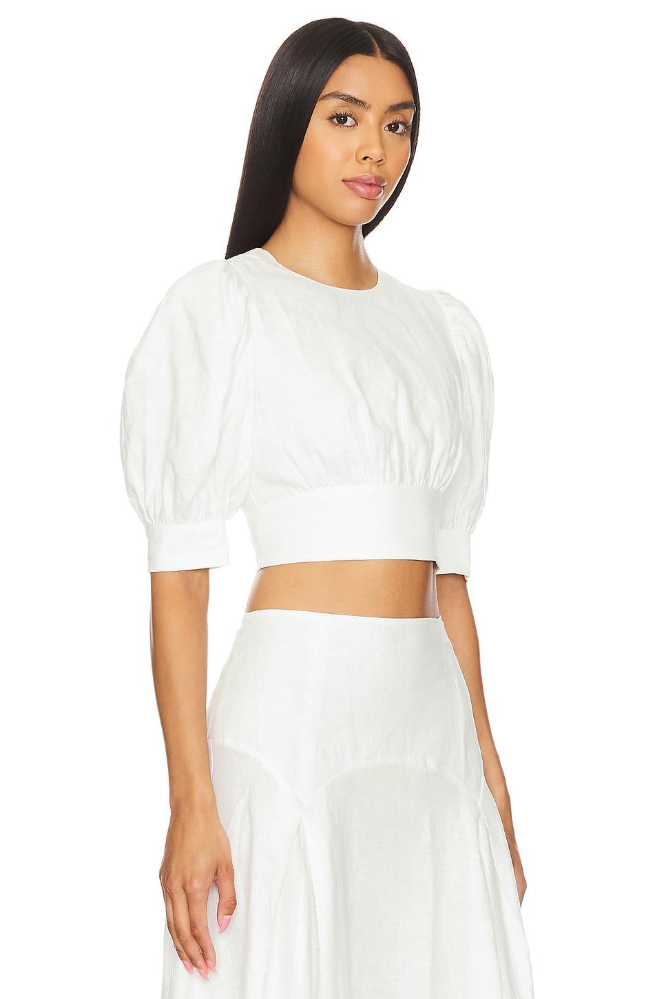 The Gael Top Solid & Striped Product Image