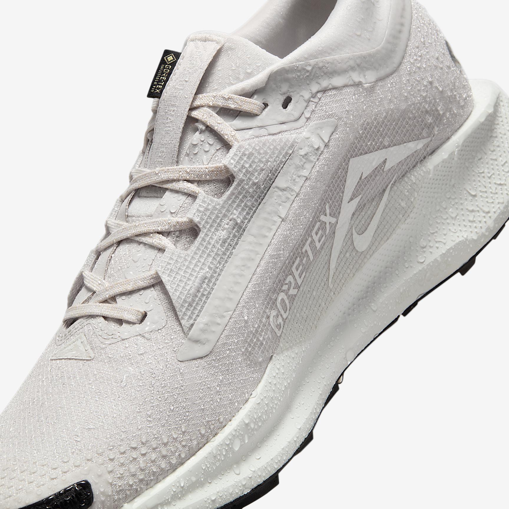 Nike Men's Pegasus Trail 5 GORE-TEX Waterproof Trail Running Shoes Product Image