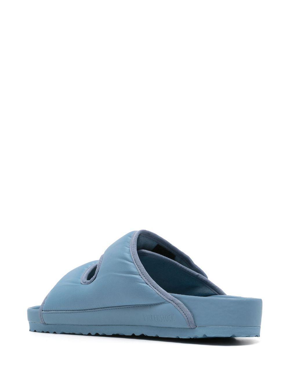 Arizona CosNy slides  Product Image