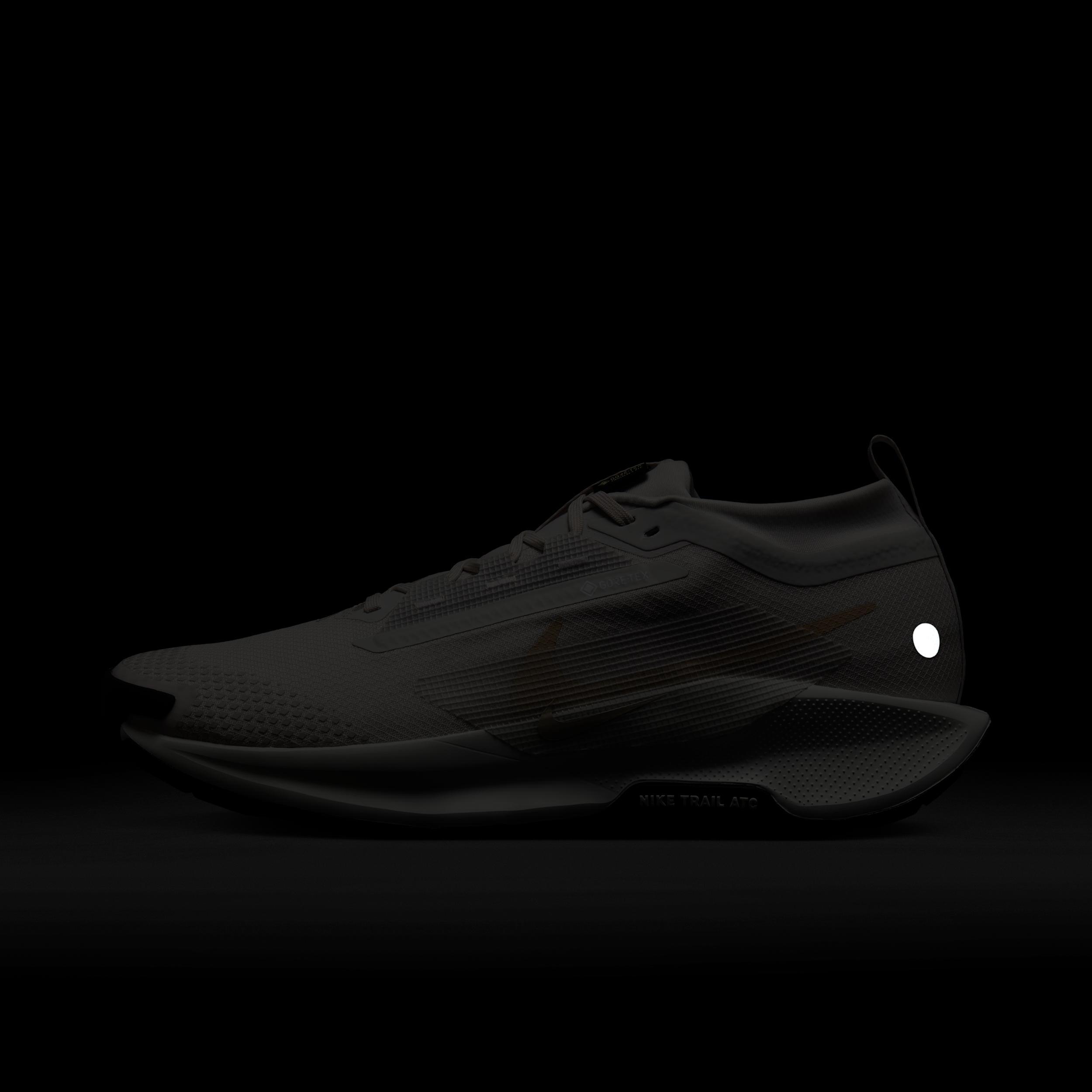 Nike Men's Pegasus Trail 5 GORE-TEX Waterproof Trail Running Shoes Product Image