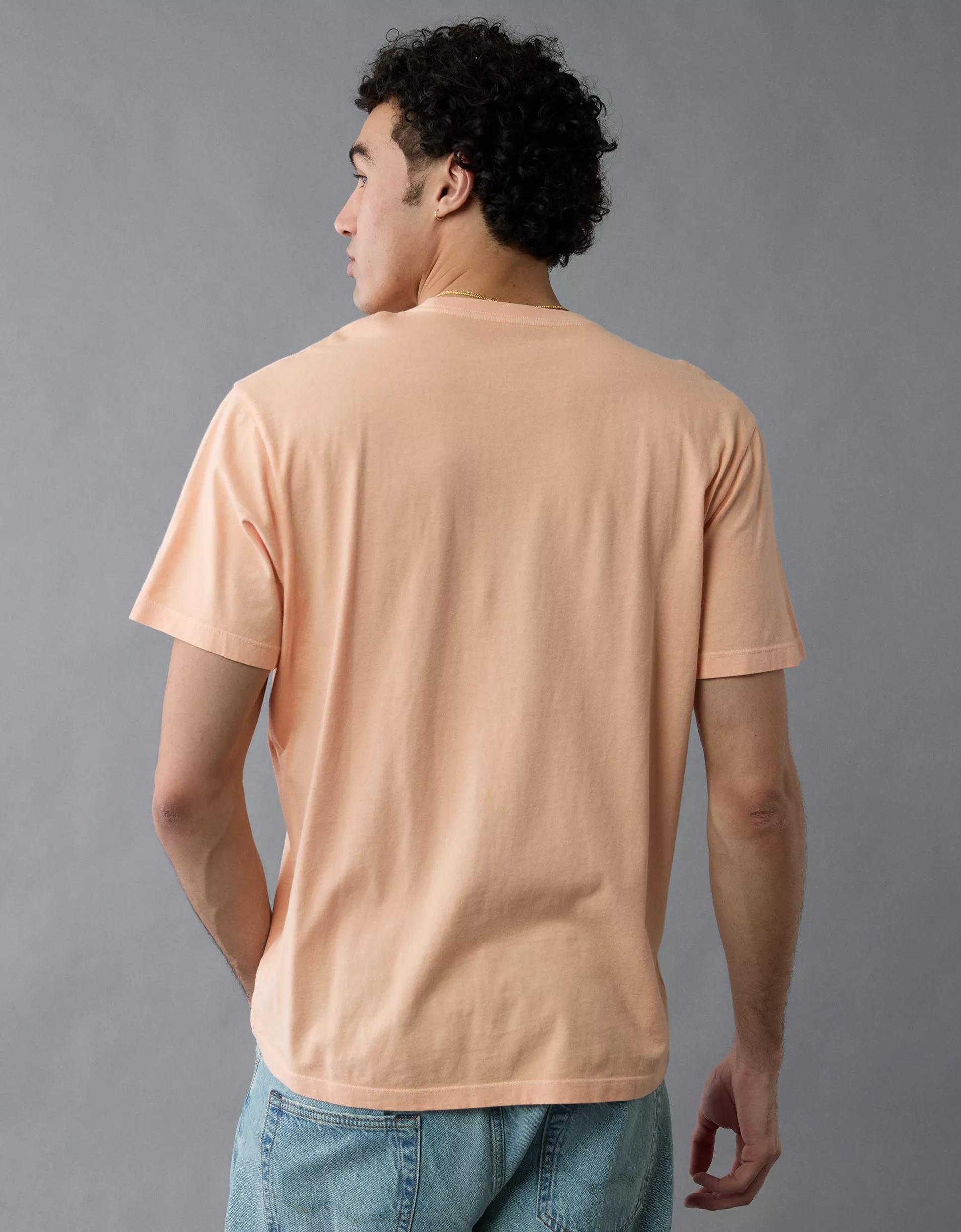 AE Logo Lived-In T-Shirt Product Image