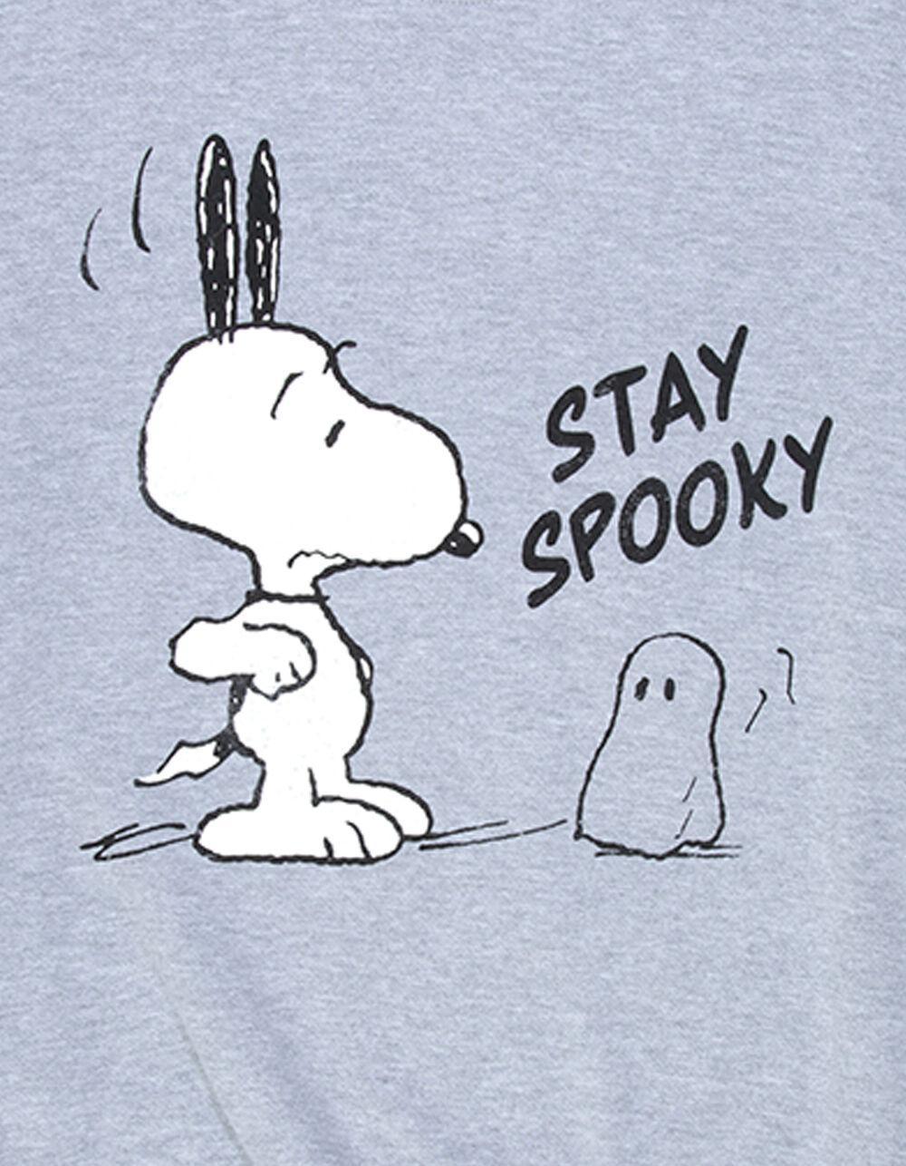 RSQ x Peanuts Stay Spooky Mens Oversized Crewneck Sweatshirt - HEATHER GRAY Product Image