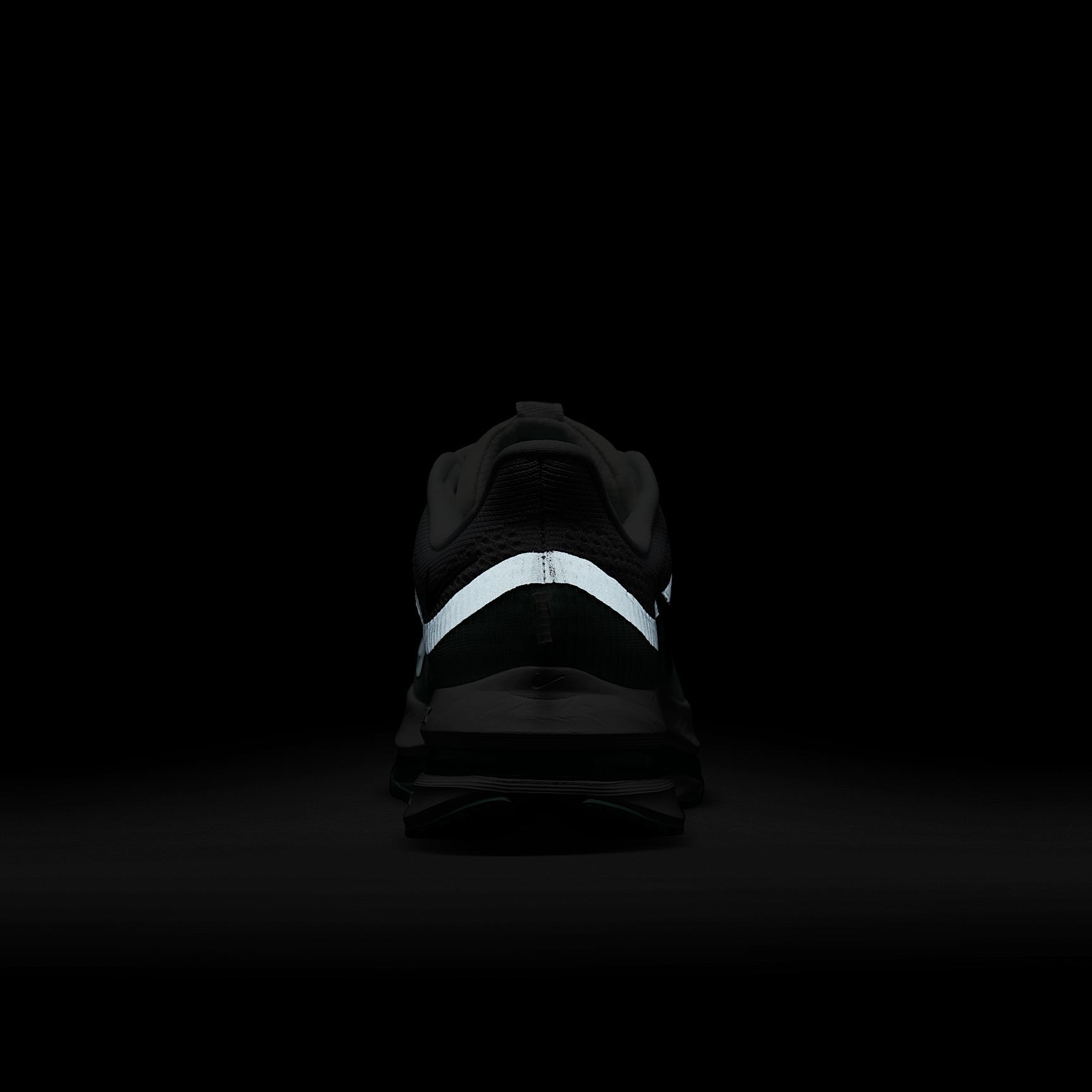 Nike Women's Pegasus Premium Road Running Shoes Product Image