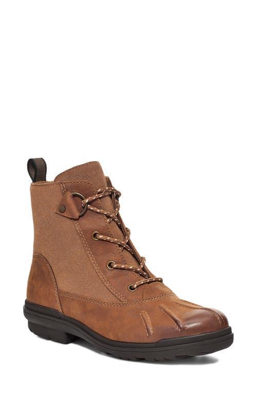 UGG Hapsburg Duck (Chestnut Leather) Women's Shoes Product Image