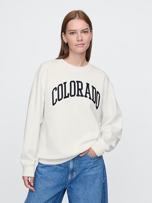 VintageSoft State Logo Sweatshirt Product Image