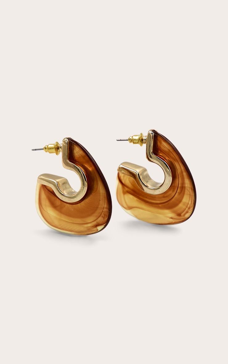 Gold Edged Smokey Brown Resin Hoop Earrings Product Image