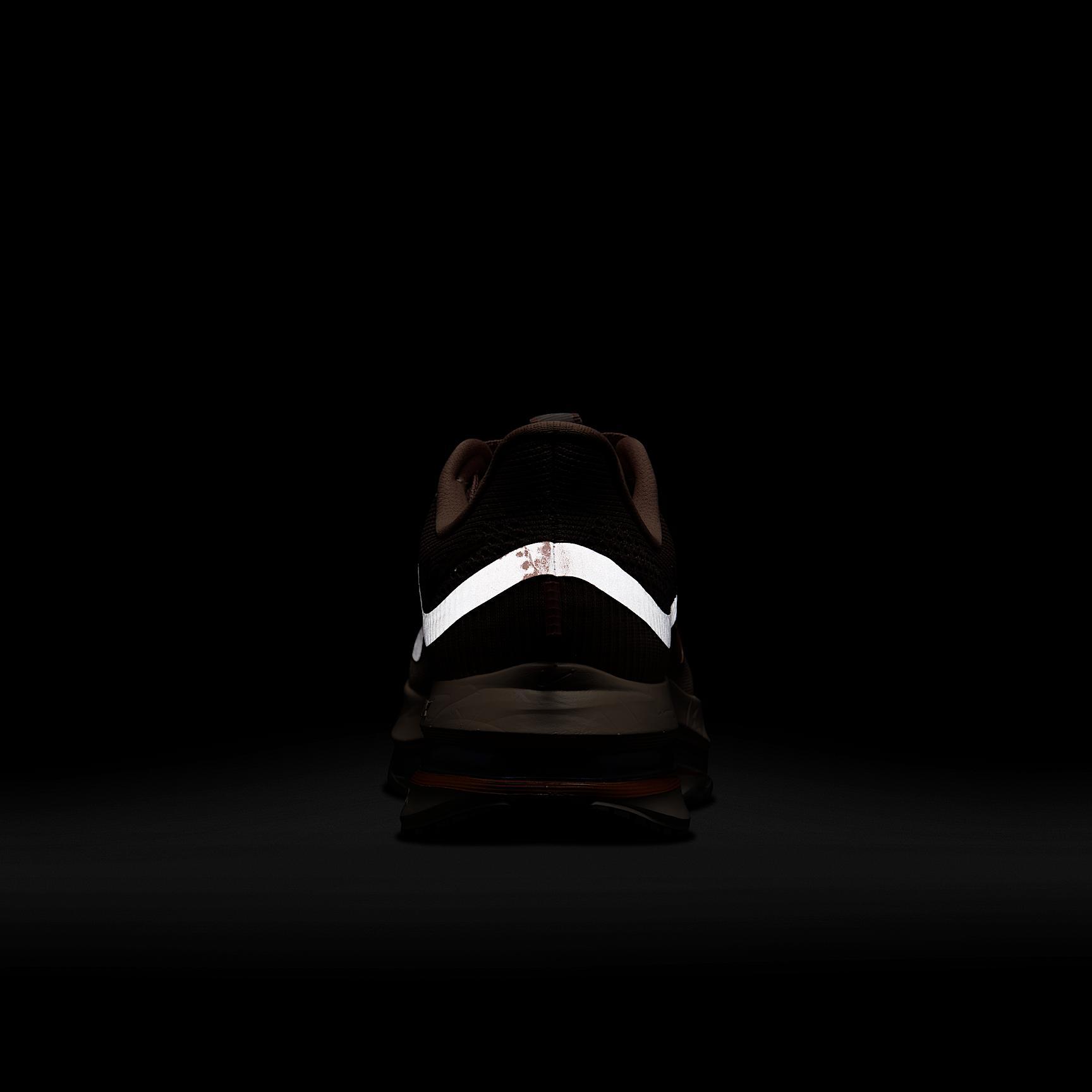 Nike Women's Pegasus Premium Road Running Shoes Product Image