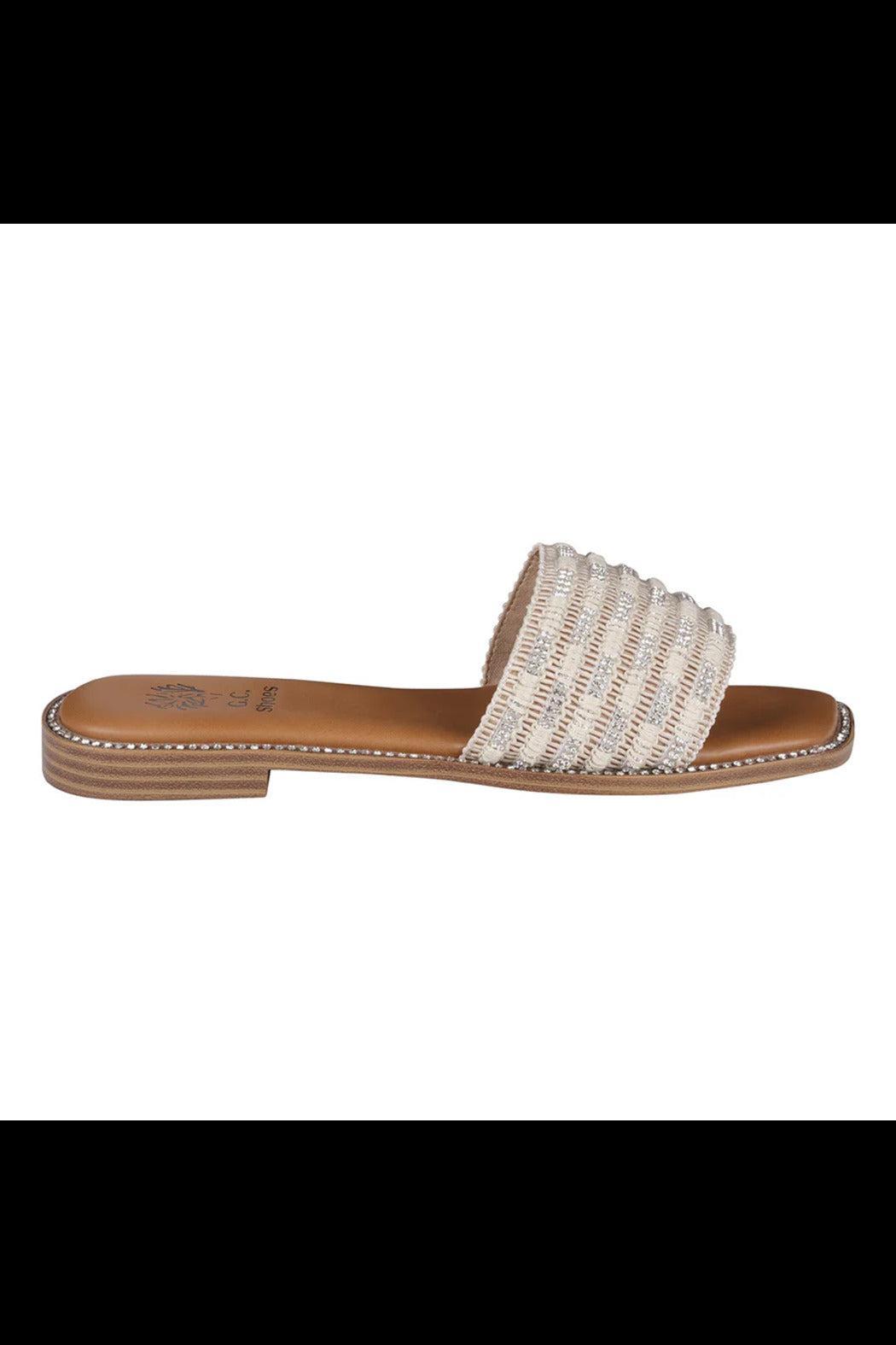 Shani Shoe Product Image