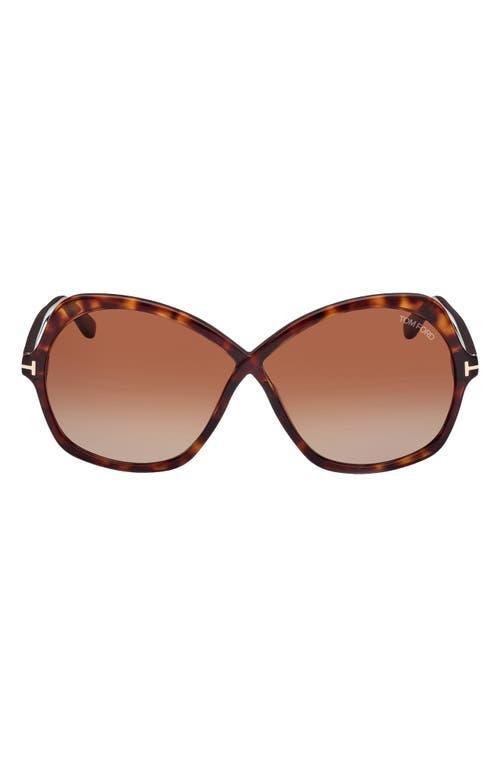 Tom Ford Rosemin Butterfly Sunglasses, 64mm Product Image