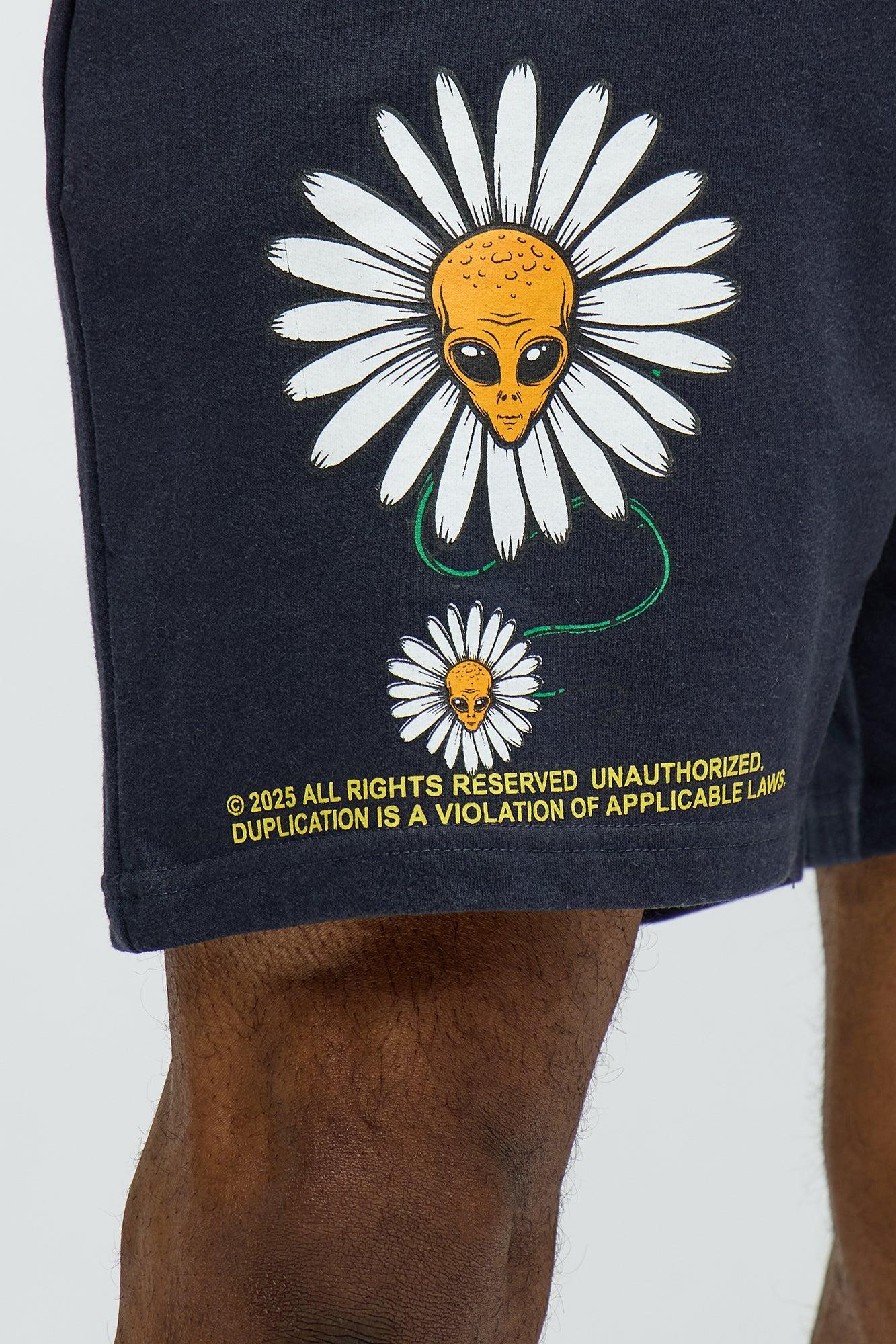 Stack Cash Chase Stars Sweatshorts - Black Product Image