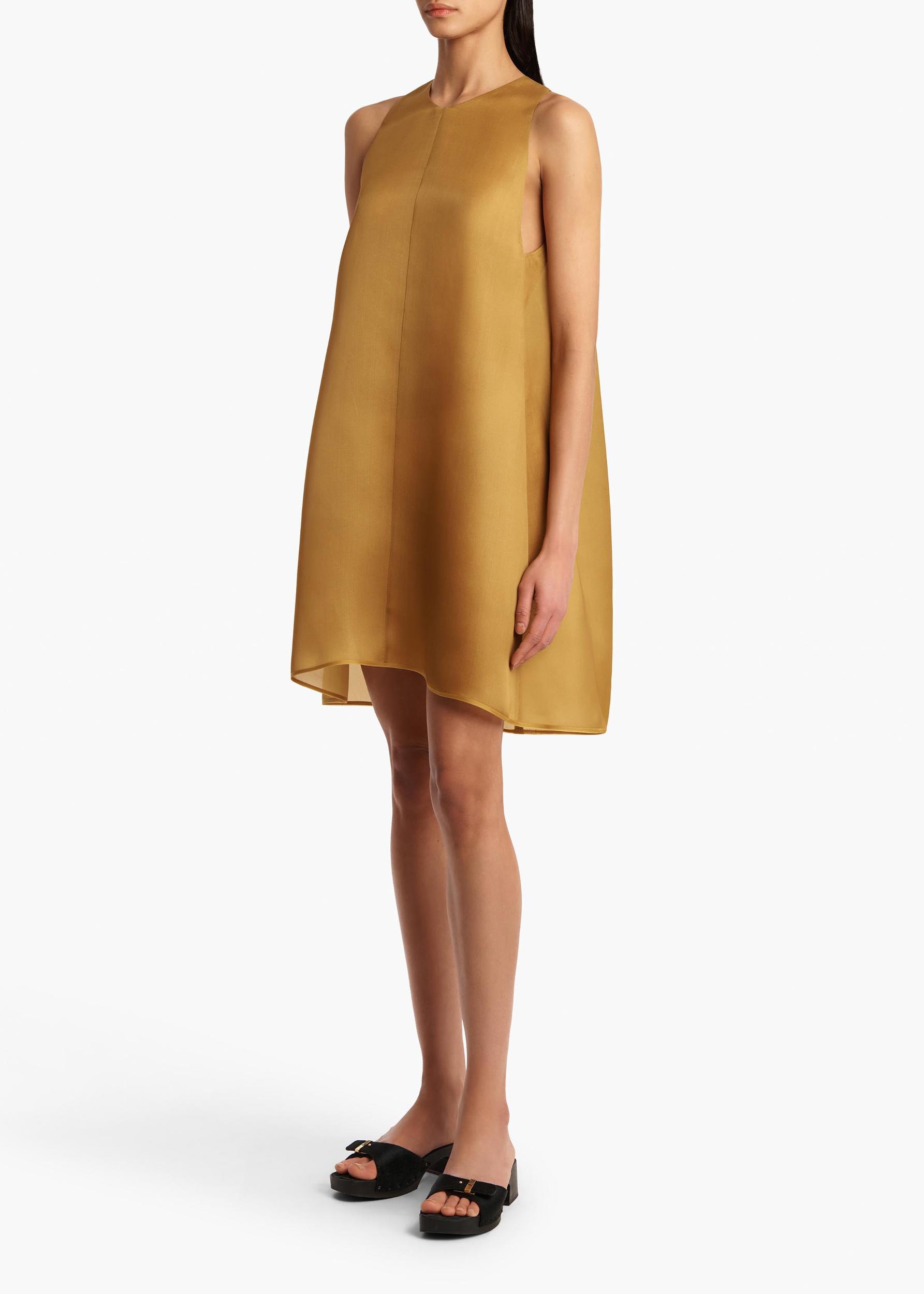 Clay Dress in Dijon Product Image