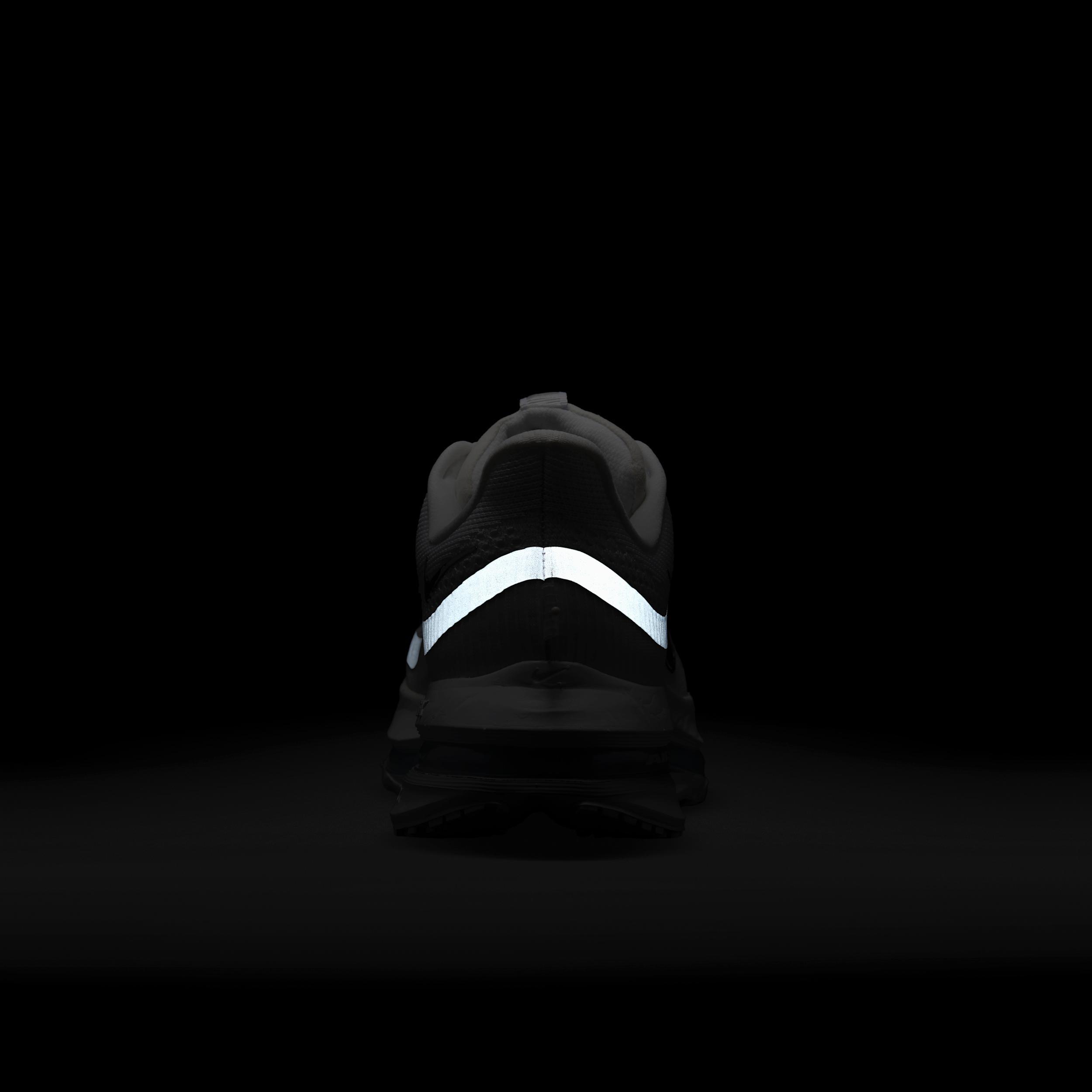 Nike Women's Pegasus Premium Road Running Shoes Product Image