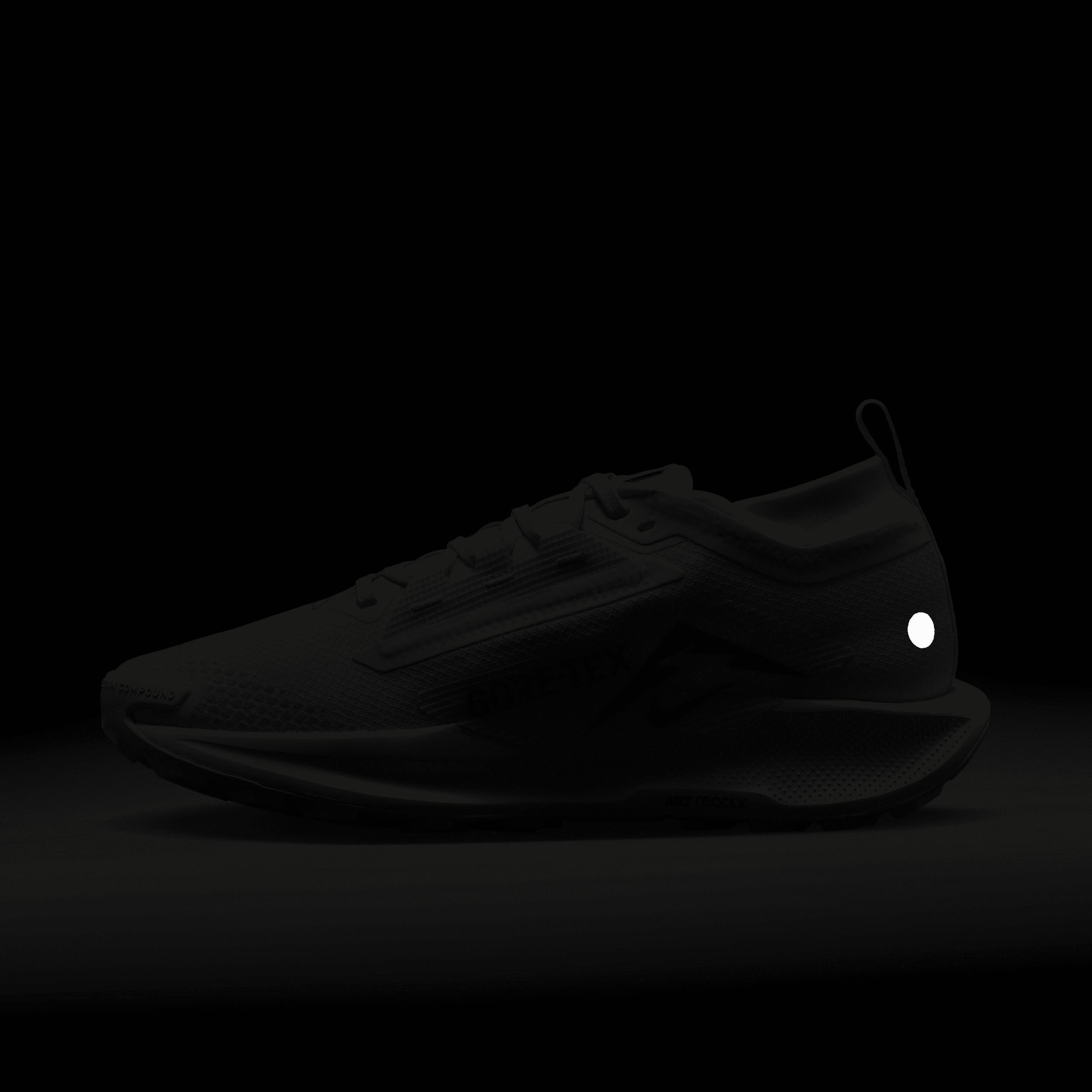 Nike Women's Pegasus Trail 5 GORE-TEX Waterproof Trail Running Shoes Product Image