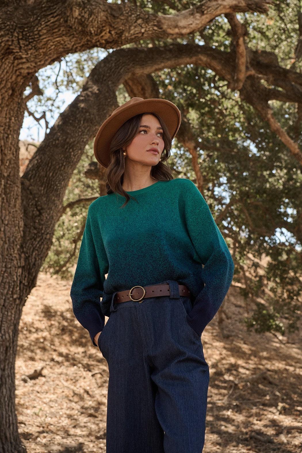 Nessa Gradient Ombre Long Sleeve Sweater Product Image