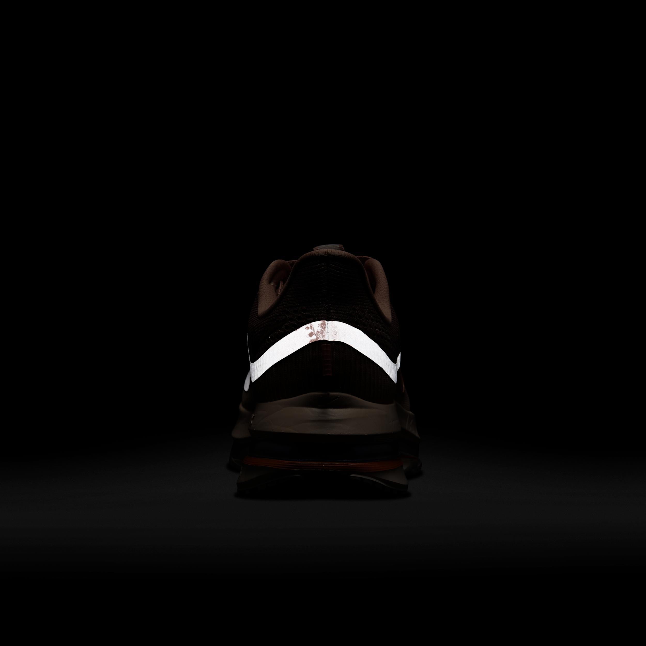 Nike Women's Pegasus Premium Road Running Shoes Product Image