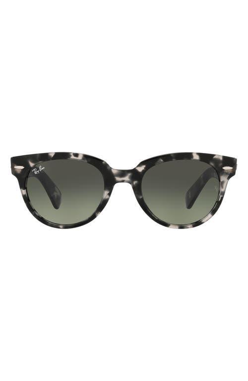 Ray-Ban Unisex Orion 52mm Havana Round Sunglasses Product Image
