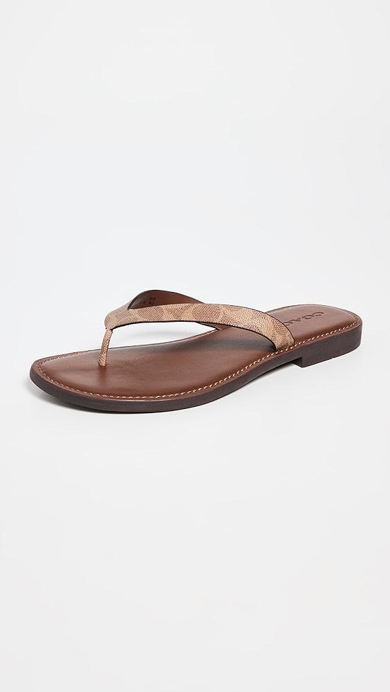 Coach Brianna Flip Flops | Shopbop Product Image