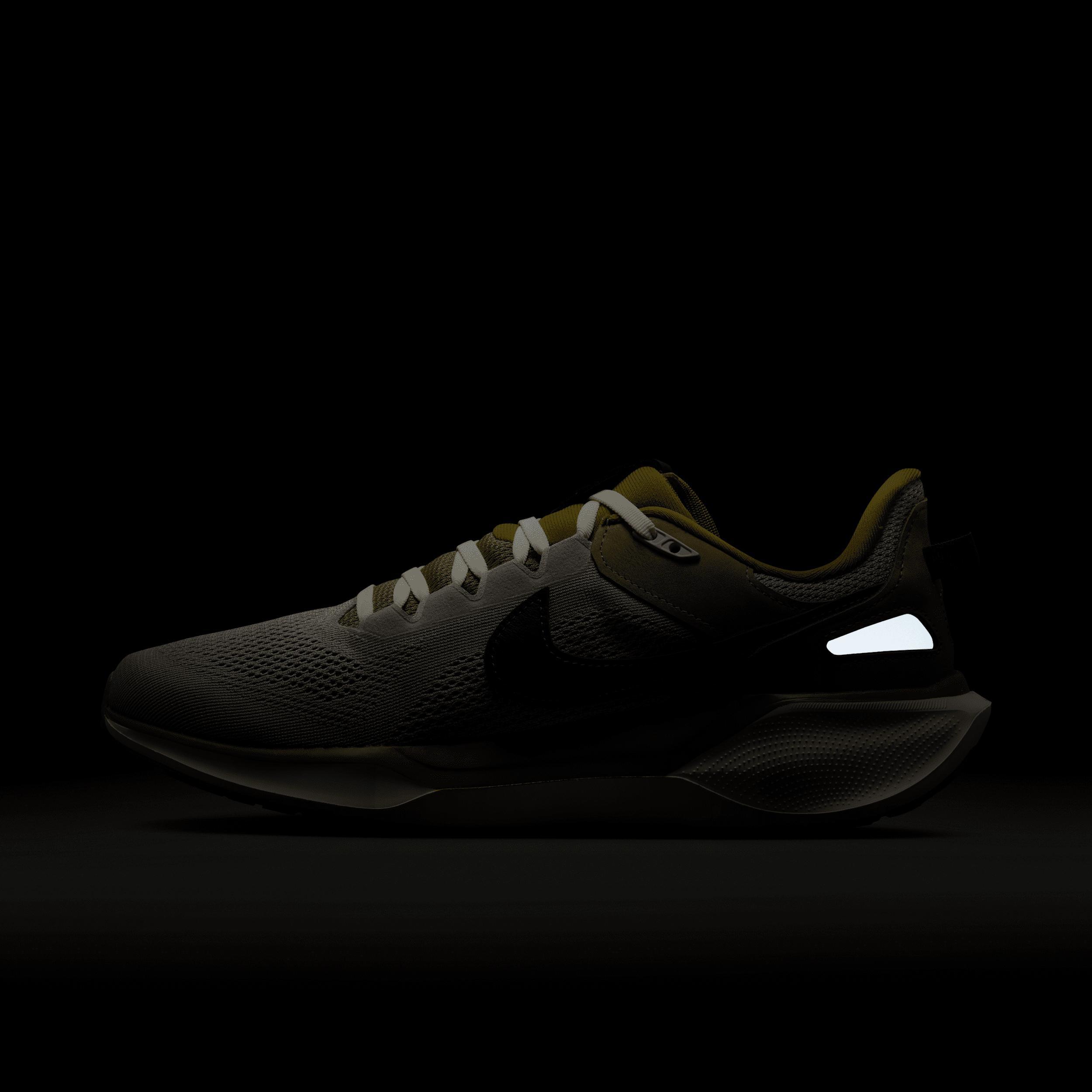 Nike Air Zoom Pegasus 41 SP Men's Shoes Product Image