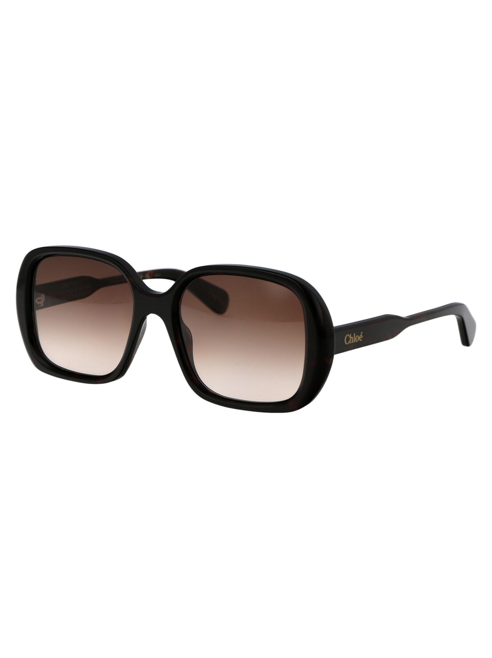 CHLOÉ Chloe Sunglasses In 002 Havana Havana Brown Product Image