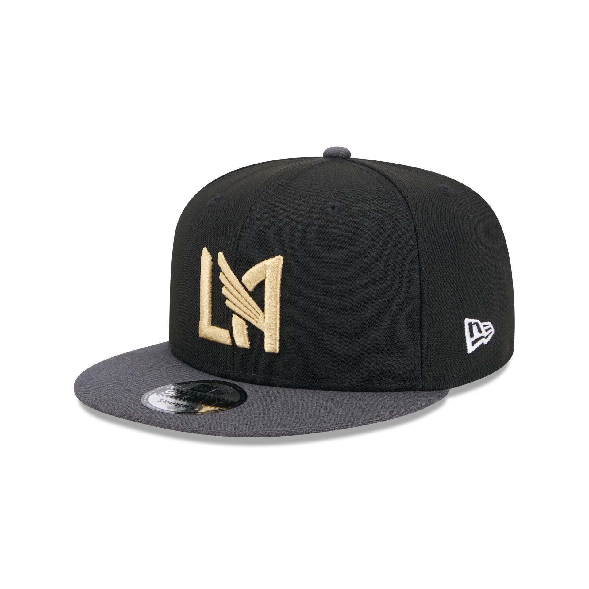 Chicago Cubs 2025 Batting Practice 9FIFTY Snapback Male Product Image