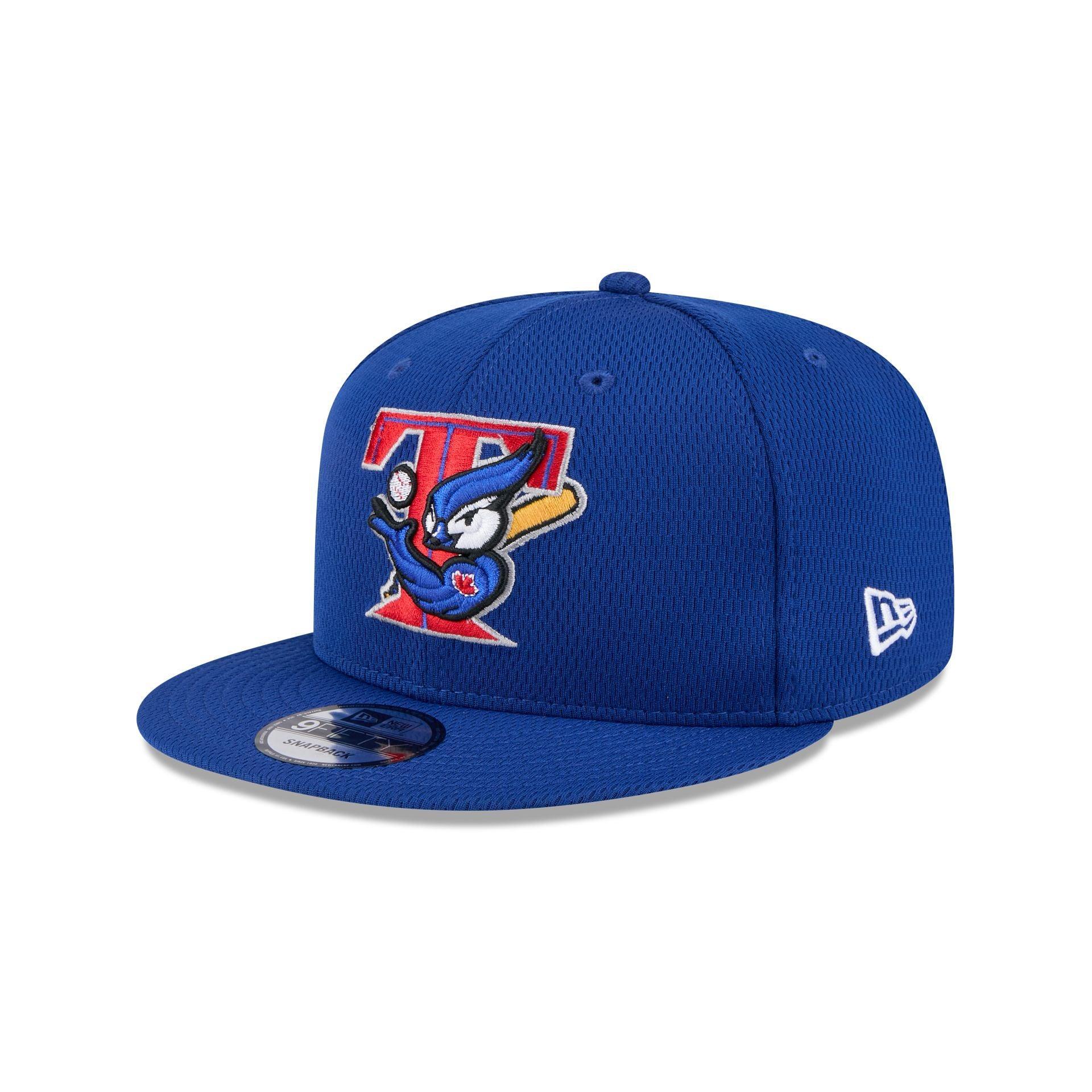 Toronto Blue Jays 2025 Clubhouse Alt 9FIFTY Snapback Hat Male Product Image