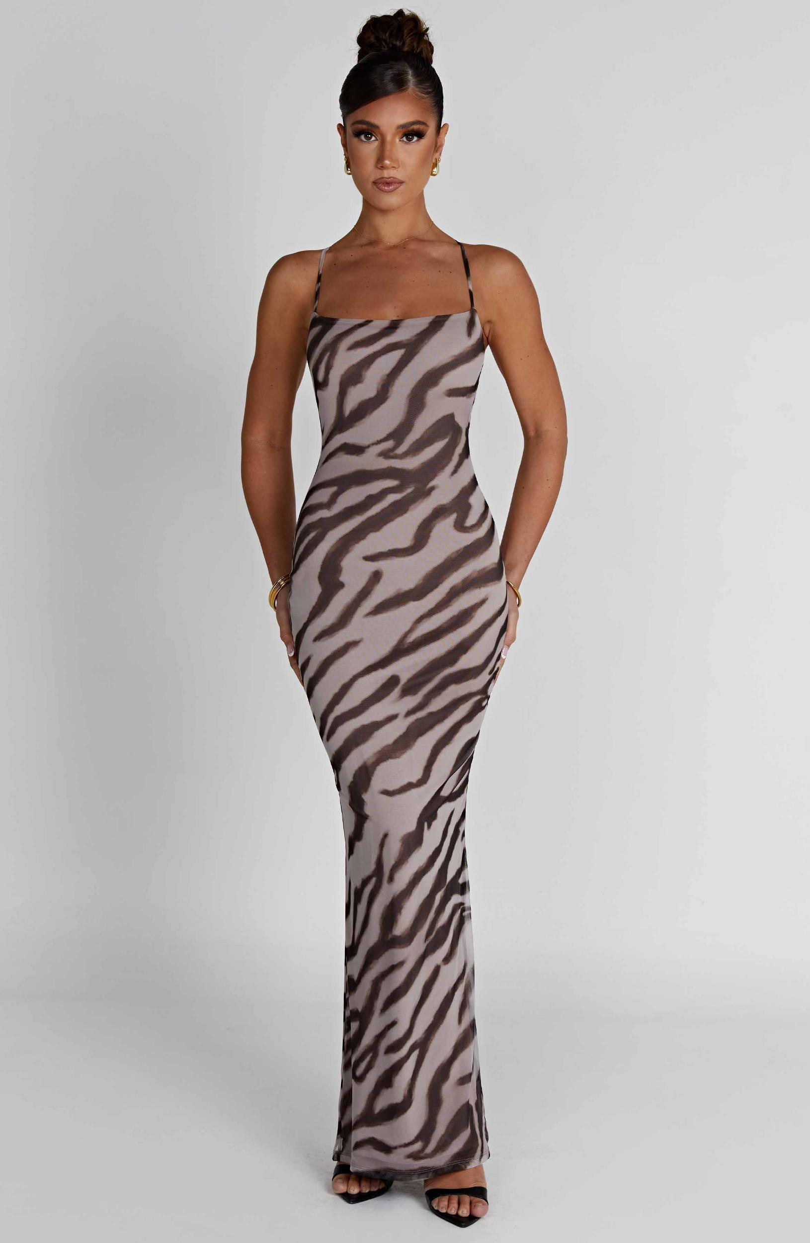 Nessa Maxi Dress - Zebra Print Product Image