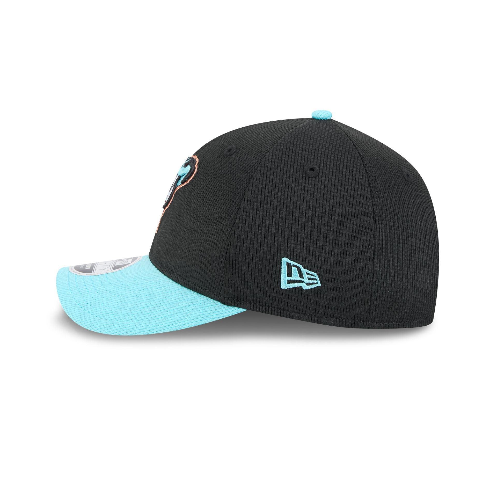 Arizona Diamondbacks 2025 Batting Practice 9FORTY M-Crown Snapback Hat Male Product Image