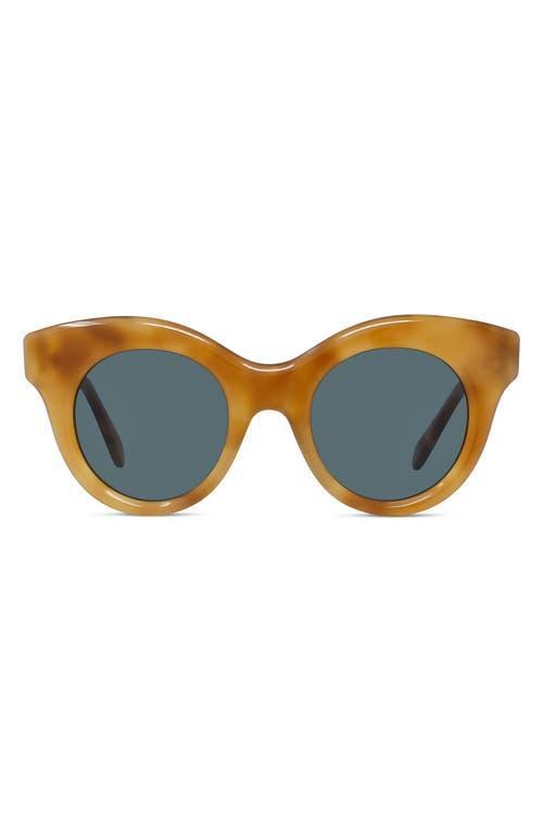 Womens Curvy 49MM Round Sunglasses Product Image