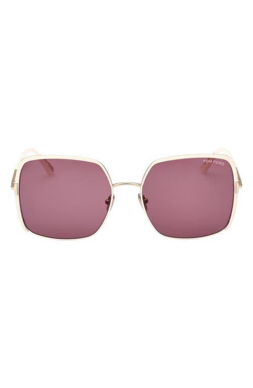 Tom Ford Raphaela Butterfly Sunglasses, 60mm Product Image