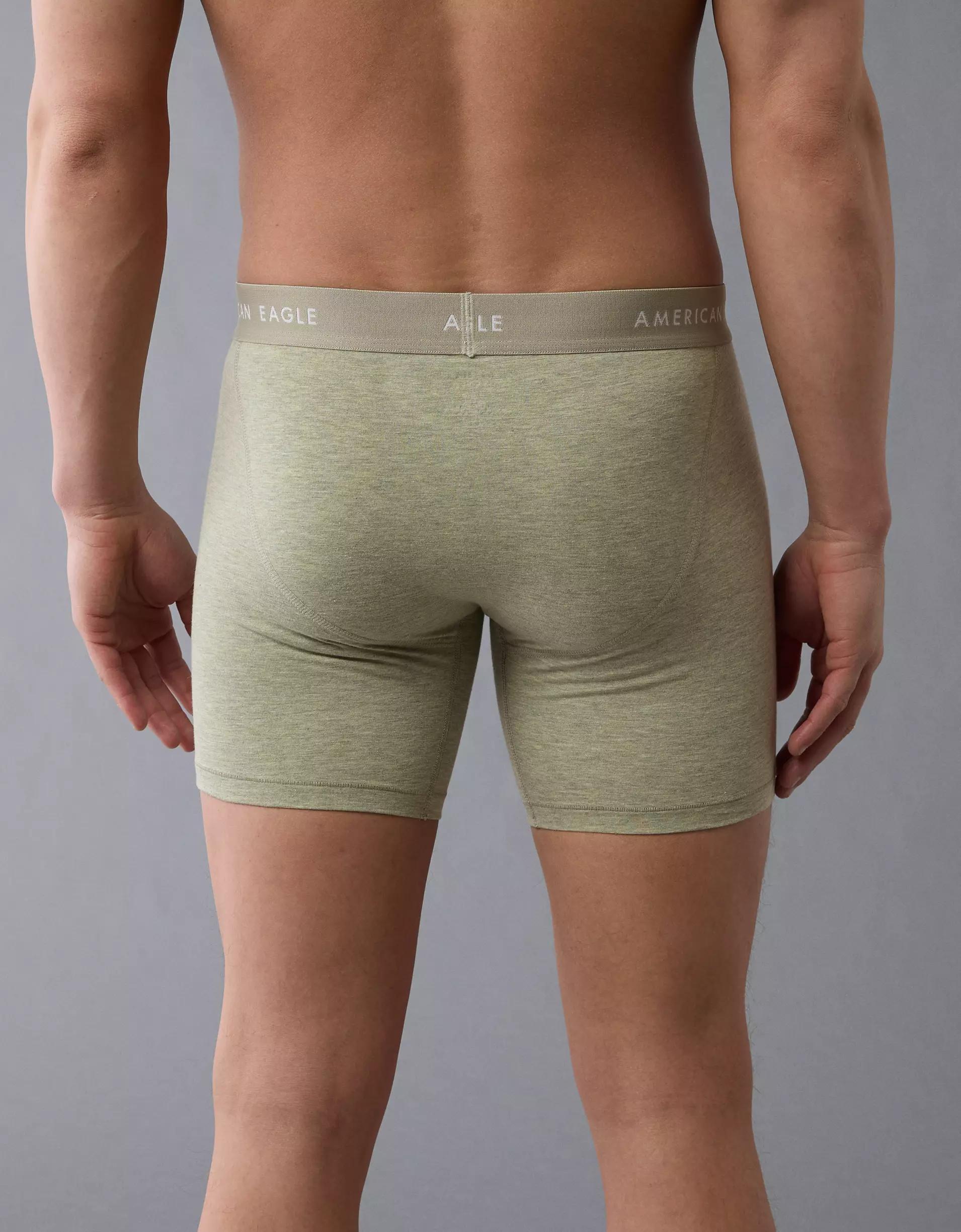 AEO Men's 6" Classic Boxer Brief Product Image