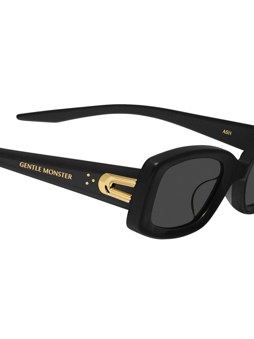 Ash 01 sunglasses  Product Image