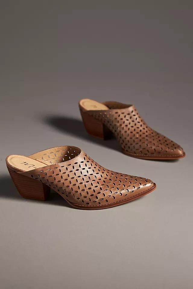 Matisse Sammie Mule Heels Product Image