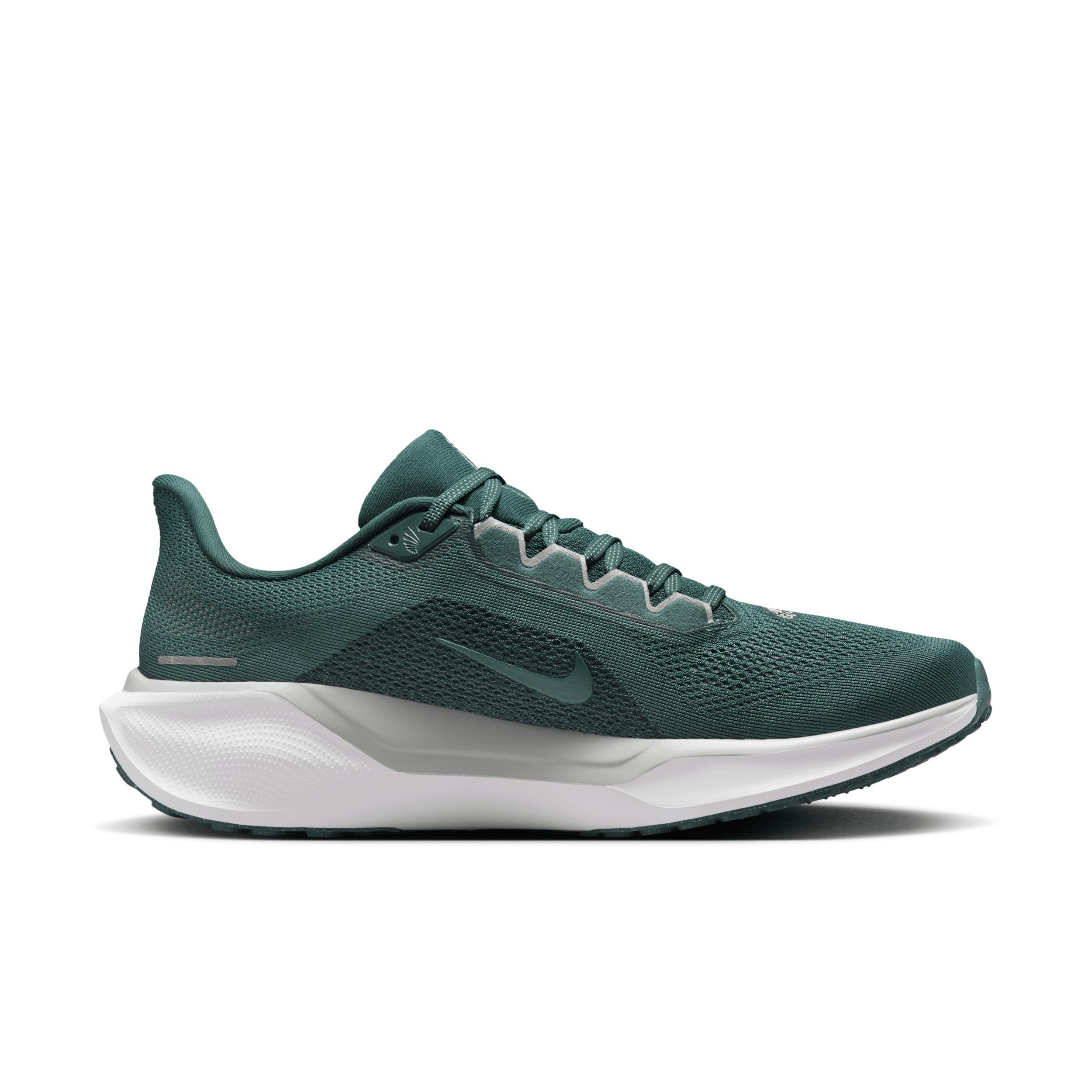 Nike Men's Pegasus EasyOn Road Running Shoes Product Image