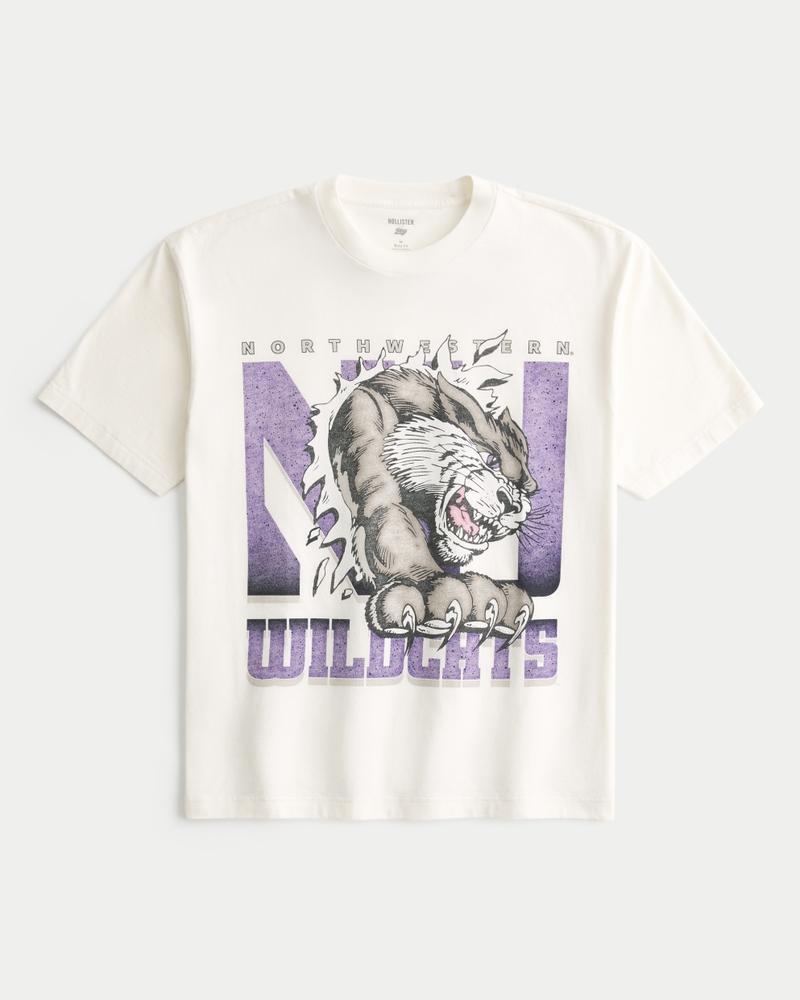Boxy Northwestern University Wildcats Graphic Tee Product Image