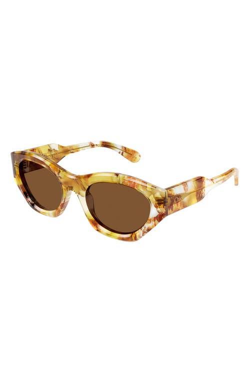CHLOÉ 53mm Cat Eye Sunglasses In Bronze Product Image
